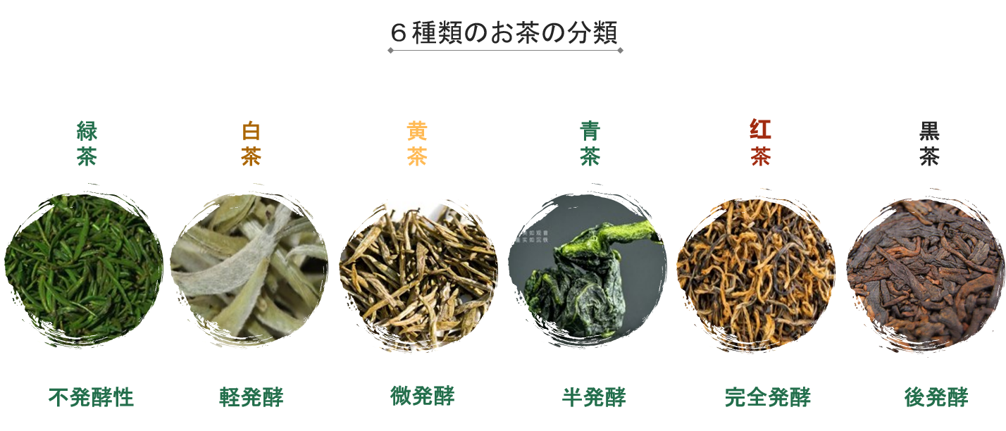 カード画像のキャプション1