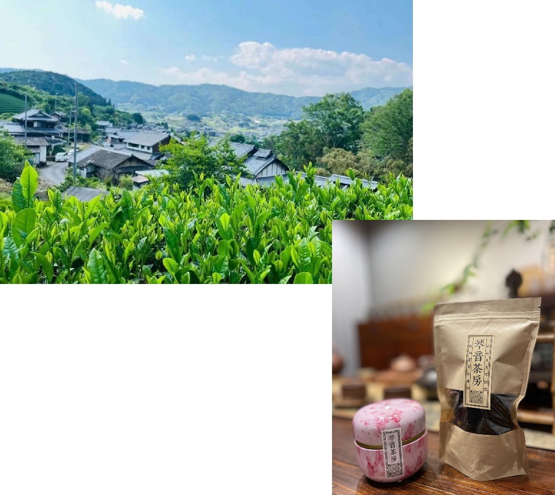 カード画像のキャプション2