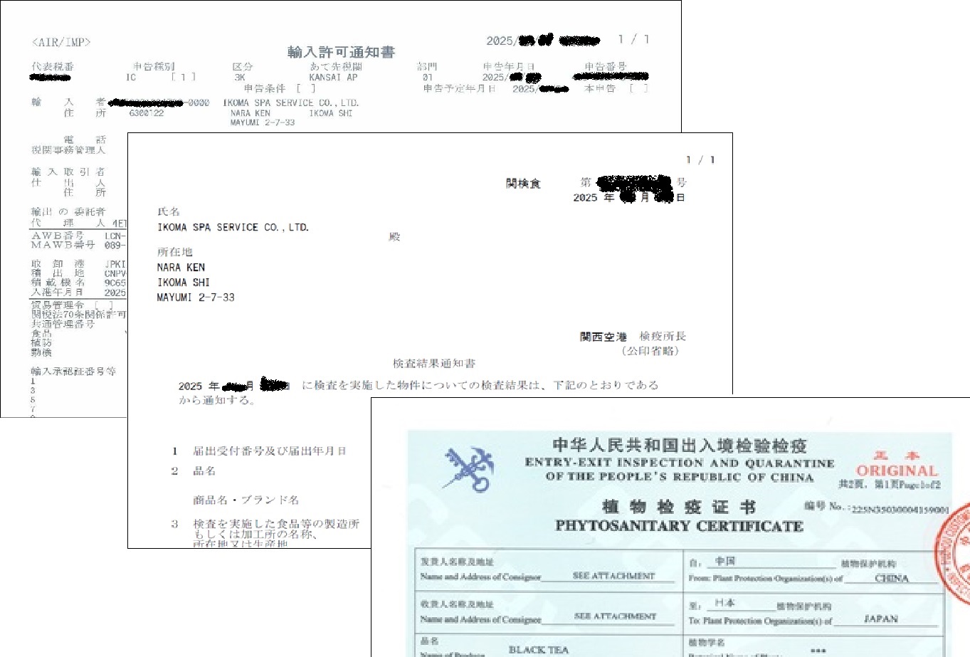 カード画像のキャプション1